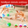 JinRui-T 2 PCS Interactive Cat Toy Rolling Ball with Tail