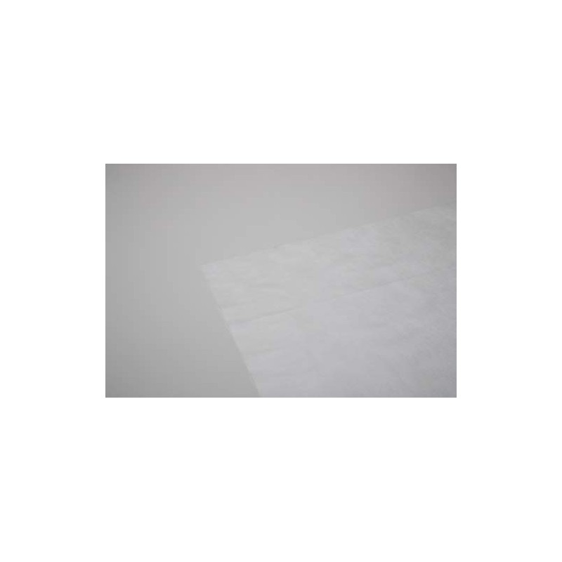 Earl(R) RD-1001 Dust Mite Proof Sheet for Compression Bags 2P