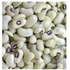 Texas Creme Eyed Peas Heirloom Seeds - Non GMO -