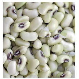 Texas Creme Eyed Peas Heirloom Seeds - Non GMO - Neonicotinoid-Freee
