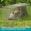 Qualirey Trap Divider Stainless Steel Small Animal Trap Fork Divider