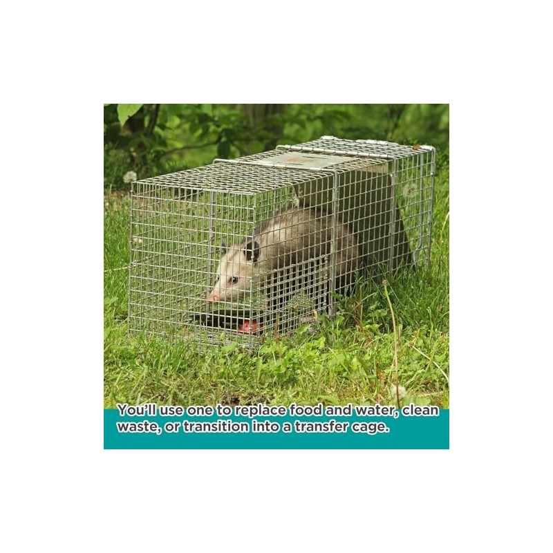 Qualirey Trap Divider Stainless Steel Small Animal Trap Fork Divider