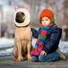 Quiet Ears for Pets, Knitted Dog Hats with Noise Protection
