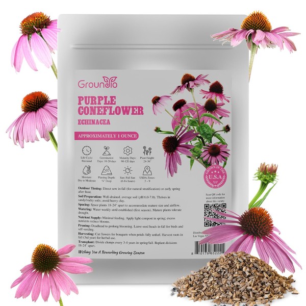 Groundio Purple Coneflower Seeds 1 OZ, Perennial Open Pollinated Non-GMO