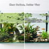 Duckweed Remover Tool for Aquarium, Floating Plant Skimmer