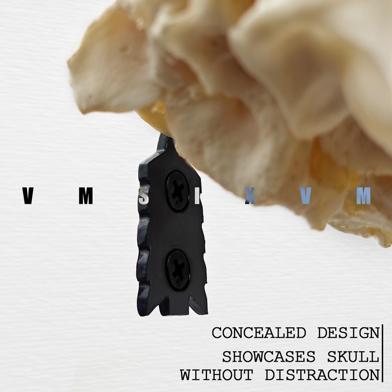 VMSIXVM European Deer Skull Mount Hanger, Euro Wall Mount Hanger
