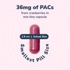 Szio+ Utiva UTI Control Cranberry PACs C Clinically Studied Ingredients