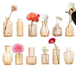 Glass Bud Vases Set of 12 Small Clear Amber Vases for Centerpieces Mini Glass Vases in Bulk Vintage Vases Assorted Tiny Flower Vase for Baby Shower Wedding Floral Arrangements Home Table Decorations