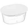 Greenfield Project Sprout Cultivation White Home Vegetable