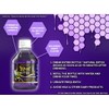 Stinger 1-Hour Detox Liquid Drink 5x Strength Grape 8oz The