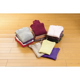 コジット 竹炭衣類整理袋 小