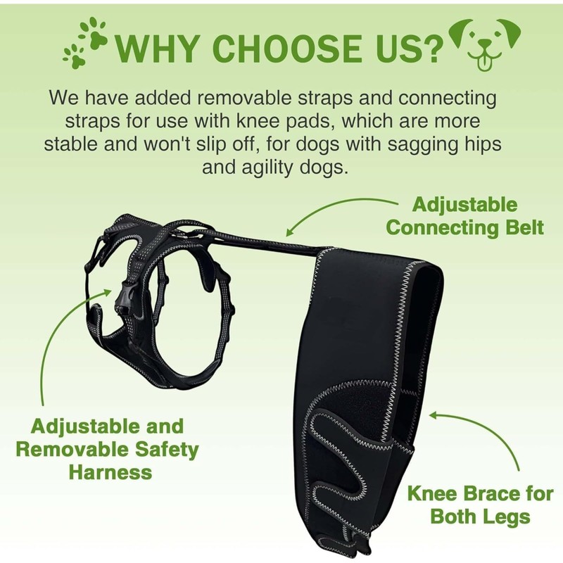 RDOPODNJ (M Dog Rear Leg Brace with Safety Harness and