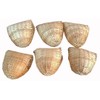 Mcage Finch Bird Bamboo Covered Bird Nest Lot of 6