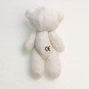 NEW 1 X BROWN And 1 X White - Teddy