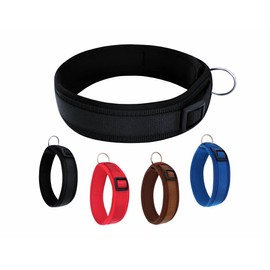 BUDDYPACK Comfortable Dog Collar Extra Wide with Neoprene Padding for Small, Medium and Large Dogs Size XXS-3XL (M (44-49 cm), Black)