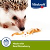 Sunseed Vita Prima Wigglers & Berries Hedgehog Treats - High-Protein