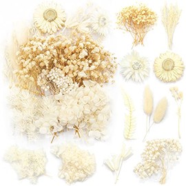 iDattel Natural Dried Flowers, Dry flowers Mixed, DIY Natural Dried Flower Set for Arts Crafts DIY Resin Scrapbooking Craft Card Making (White)