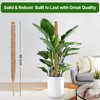 48 Inch Bendable Moss Pole for Plants Monstera, Coir Plant