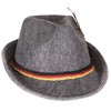 Narwhal Novelties Swiss, German Alpine Bavarian Oktoberfest Felt Hat Cap