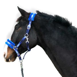 Halter for Horses Fur Headcollar Lined Blue in Sizes x Full Headcollar, Pony, Cob, Warmblood (Full), Blue)