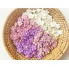 PLflower Set of 50 Tiny Flower Mixed Tone Purple Embellishment