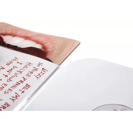 Big Fudge Vinyl Record Outer Sleeves 25x | 12" & 25x Inner Sleeves for Records - Acid Free