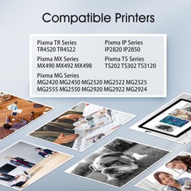 PG-243 XL Ink Cartridge Black Replacement for Canon 243 243xl PG 243 Combo Pack for PIXMA MX490 MG2500 MG2522 MG2922 TS3122 TS3322 TS202 TR4520 TR4522 Printers (2 Black)