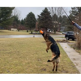 Jalousie Collapsible Dog Flirt Pole with Three Squeaky Toys Plush Toys Dog Teaser Wand Chase it Toy with Refills Upgraded Rope