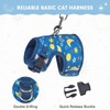 BINGPET Cat Harness with Leash Escape Proof - Fashionable Mesh