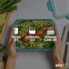 Ello Duraglass 3.4 Cup Meal Prep Sets 10Pc, 5 Pack