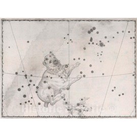 Historic Map : Constellation: Canis Major, The Big Dog, 1655 Celestial Atlas - Vintage Wall Art - 30in x 24in