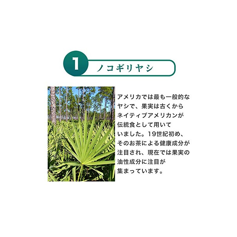 オーガランド (ogaland) ノコギリヤシ (30粒 / 約1ヶ月分) サプリ (ラウリル酸/リノール酸/オレイン酸) パンプキンシードオイル 長命草