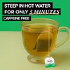 TAZO Organic Refresh Mint Herbal Tea Bags with Peppermint and