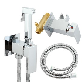 Asyas Chrome Concealed Warm Water Bidet Sprayer for Toilet with Hot and Cold Brass Valve, Brass Handheld Bidet Attachment Set for Females, Pets and Baby Diaper Wash