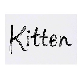 'Kitten' Temporary Tattoo - Water Resistant, Skin-Safe, Non-Toxic Transfer (TO00080375)