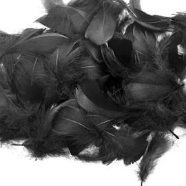 Audamp Feathers 300 Pieces Black Feathers for Crafts for DIY Earrings, Wedding, Dream Catcher, Headdress Feathers