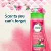 Herbal Essences Ignite My Color Vibrant Color Shampoo with Rose