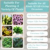 Heart-Shaped Wall Planter, Self-Watering Pot for Indoor Plants