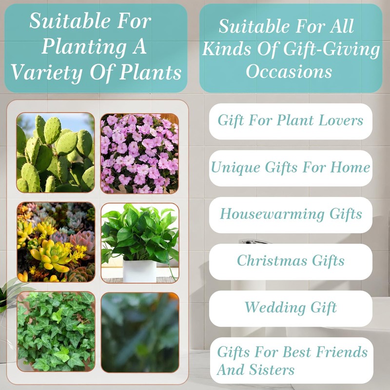Heart-Shaped Wall Planter, Self-Watering Pot for Indoor Plants