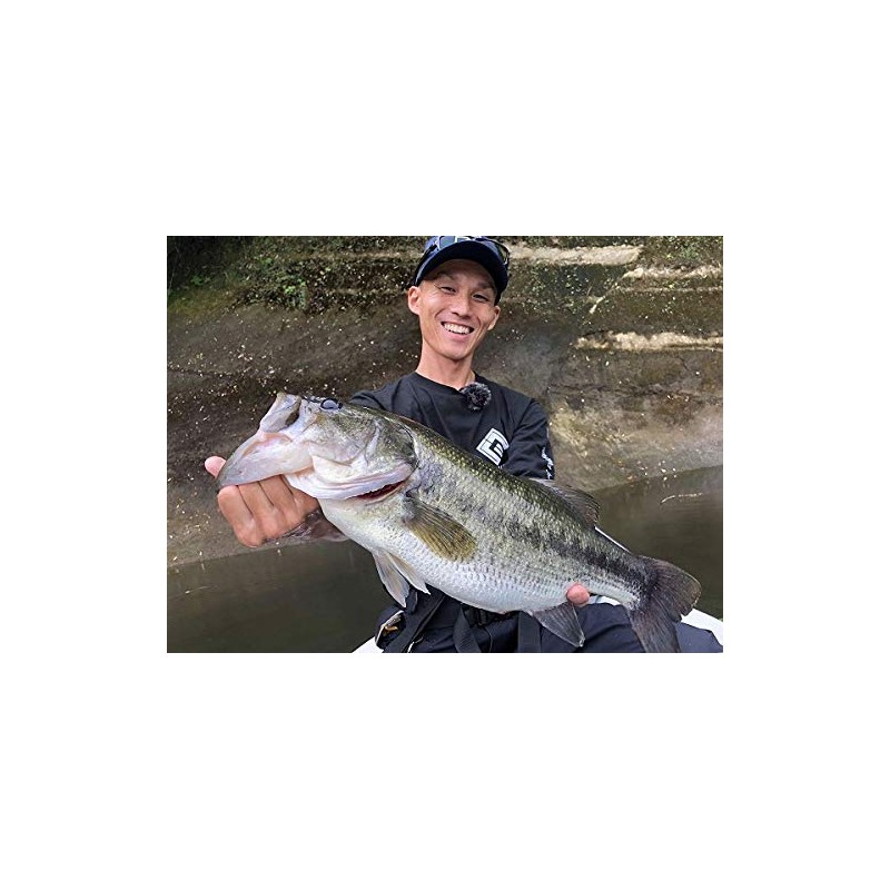 ENGINE Worm Shake Claw 2" #06 Black