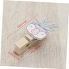 BIUDECO Creative Cactus Wooden Photo Clips 10/Pack Memo Photo Note
