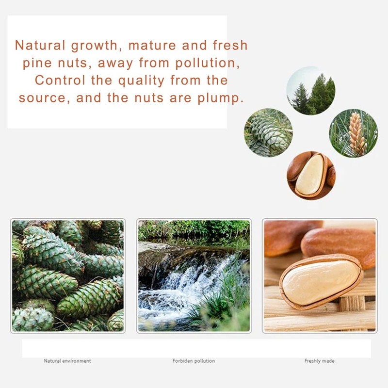 Pine Nuts dry Fruit with Shell 8.81oz ，Original pine nut