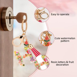ORUZA Alphabet Initial Letter Keychain, Resin Letter Key Ring with Fruit Tassel Pendant Initial Letter Keyring for Women Girls Handbag Wallet Purses Letter H