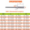 BOTTEN 100 pcs 1/8"x 1/2" Stainless Steel Blind Pop Rivets,3.2