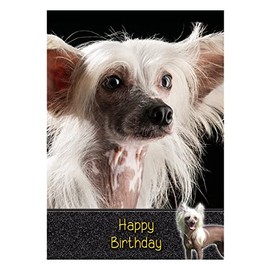 Chinese Crested Dog Birthday Card