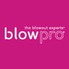 blowpro Blow Up Thickening Mist 2oz Travel Friendly Spray, Adds