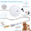 Bling Retractable Dog Leash for Small Dogs Cats Rabbit Up