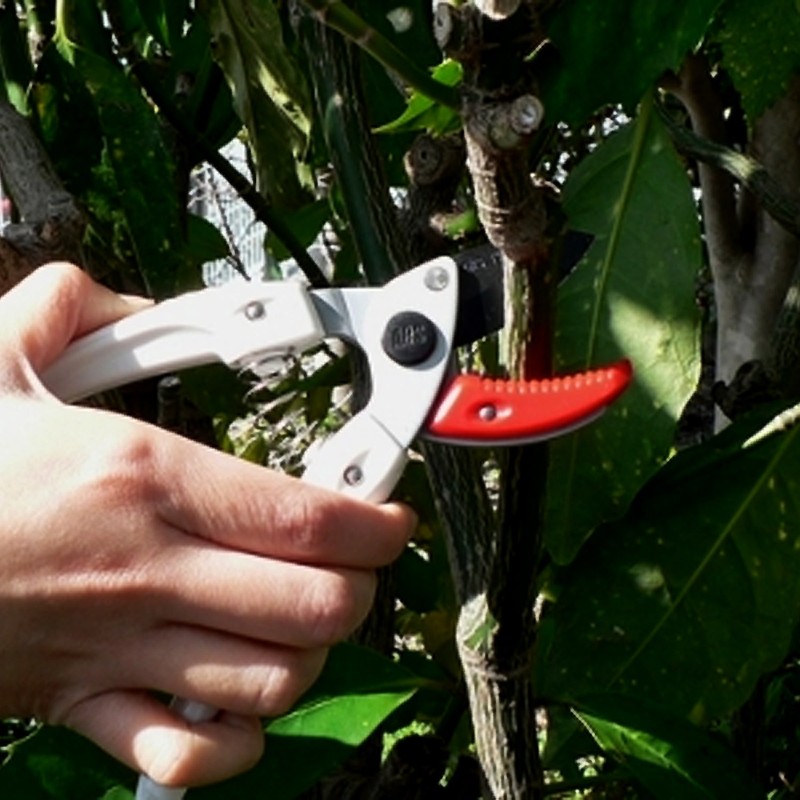 アルスコーポレーション アルス ミニエース 剪定鋏 アンビルタイプ 133DX-W