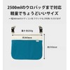 V2 Deodorizing Cover for Urination and Urine Collection Bags, For