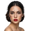 ValueBargain Black Birdcage Veil Headband for Women, 1920s Retro Bridal
